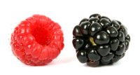Owoce z pestkami-jeżyny, maliny, pomagają przy zaparciach