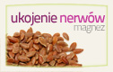 Ukojenie nerwów - magnez